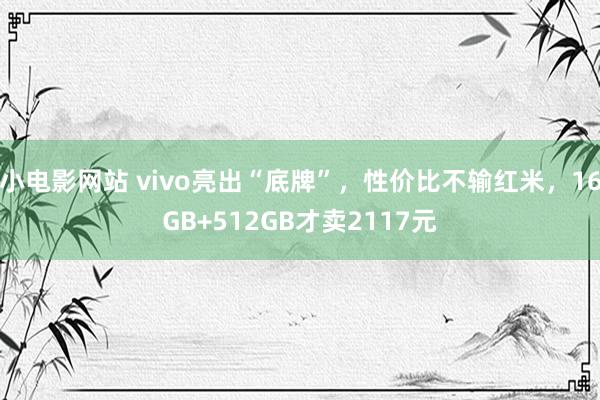 小电影网站 vivo亮出“底牌”，性价比不输红米，16GB+512GB才卖2117元