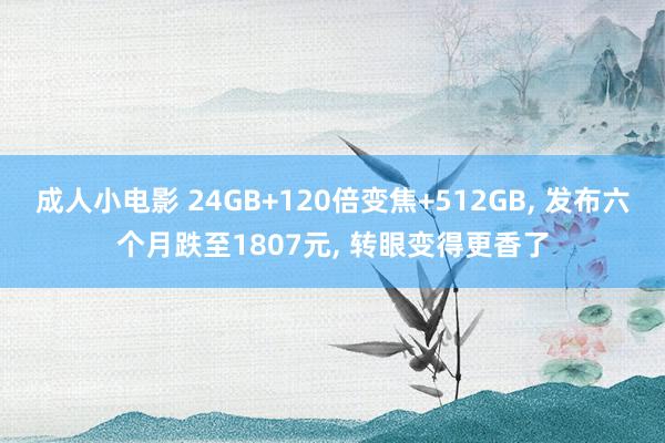 成人小电影 24GB+120倍变焦+512GB， 发布六个月跌至1807元， 转眼变得更香了