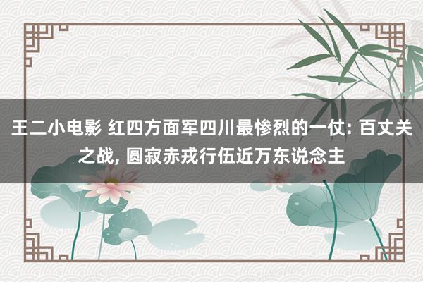 王二小电影 红四方面军四川最惨烈的一仗: 百丈关之战， 圆寂赤戎行伍近万东说念主