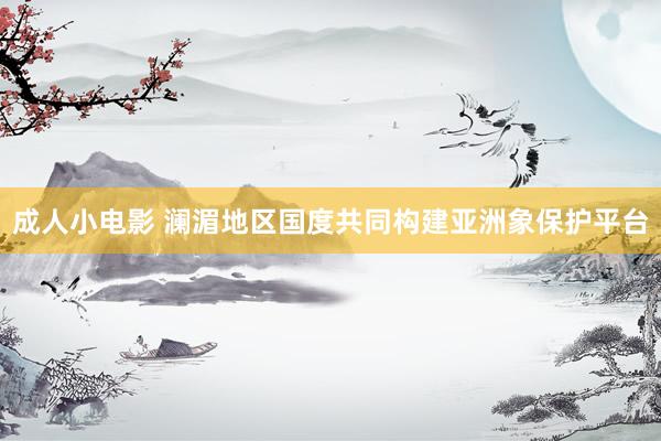成人小电影 澜湄地区国度共同构建亚洲象保护平台